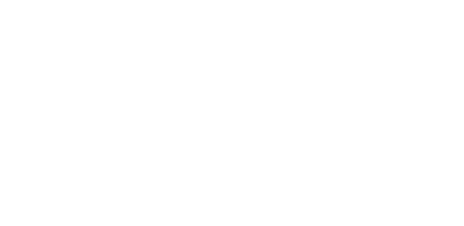 GEMINI de GOGO!